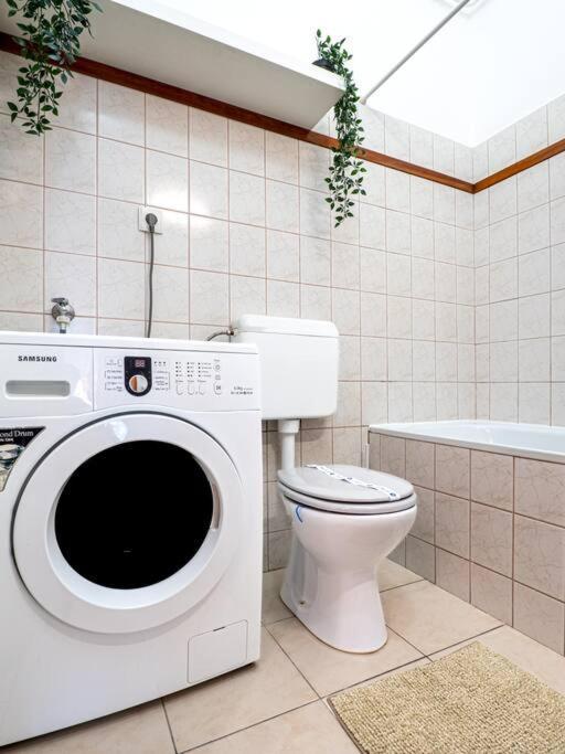 Mexicopo Apartment With Garage Будапеща Екстериор снимка